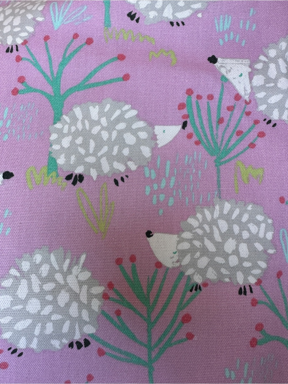3 Yards “Prickly Pals Hedgehogs” Canvas Fabric